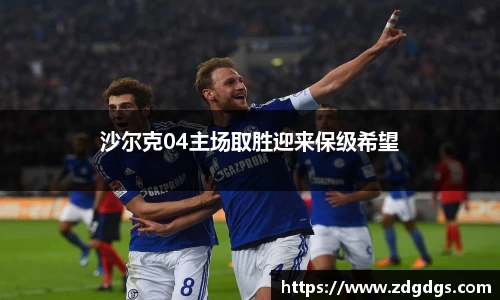 沙尔克04主场取胜迎来保级希望