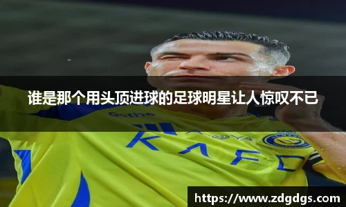 星空·综合体育官方网站